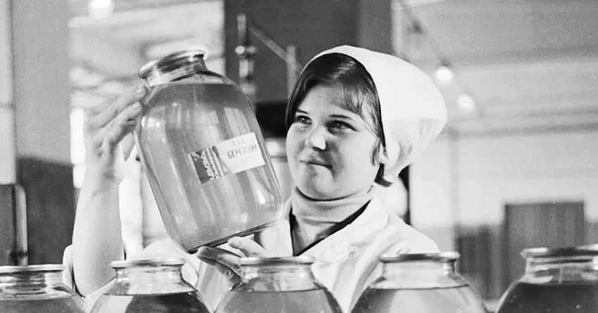 Берёзовый сок: честный гид по сбору и правда о советском напитке