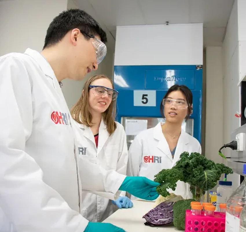 Брокколи против тромбов: как овощ может защитить от инсульта