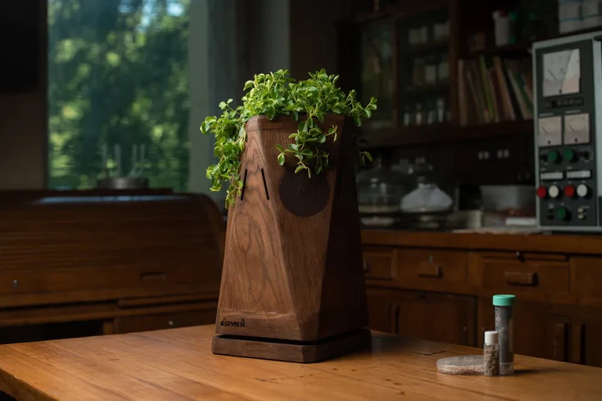 Женщины-новаторы: как создаются технологии, меняющие нашу жизнь