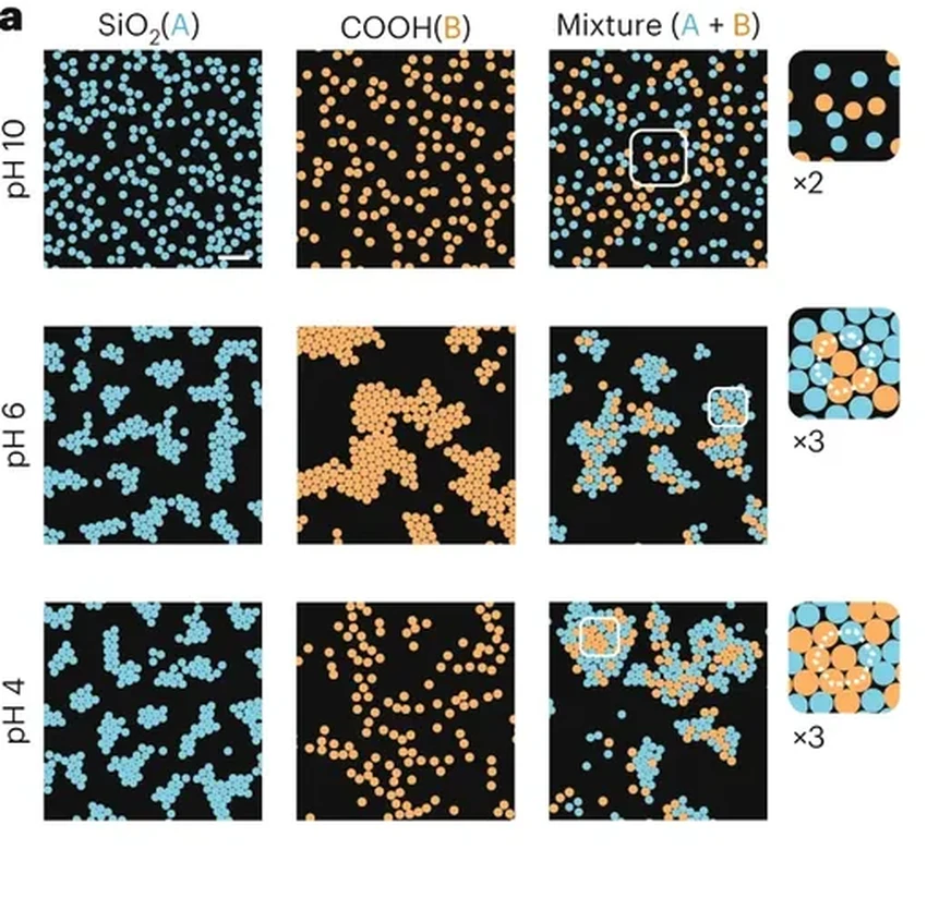 Как частицы с одинаковым зарядом притягиваются в растворе: открытие ученых