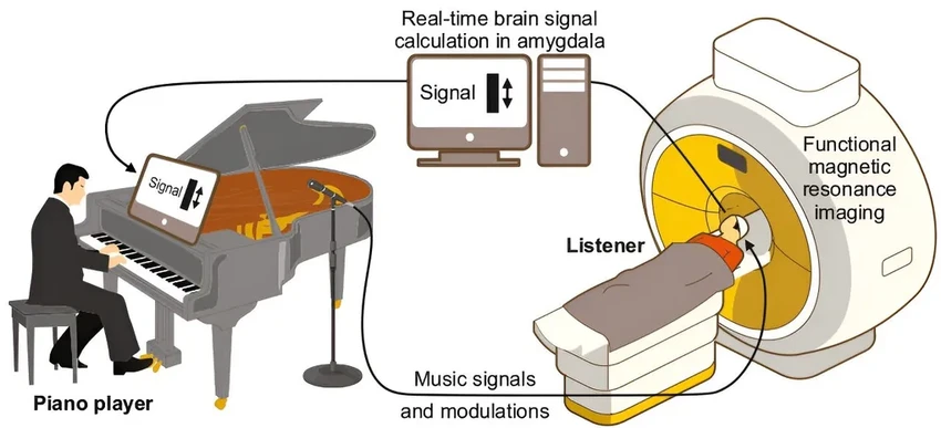 Почему живая музыка трогает сильнее записи: ответ нейробиологов