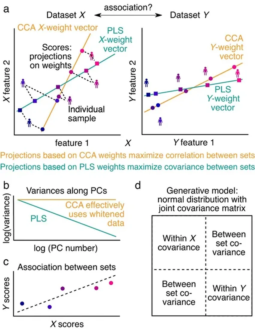 Как связаны симптомы шизофрении с мозгом? ИИ дает ответ при выборке от 10 000 пациентов