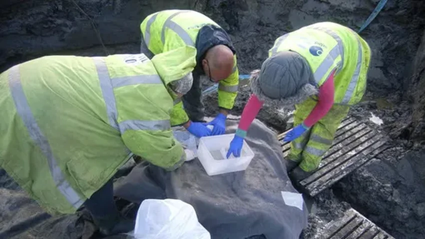 Ученые нашли целое яйцо римской эпохи с жидким содержимым внутри