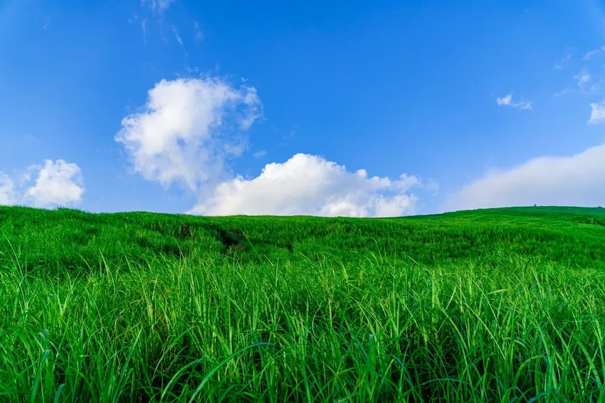 Кто выигрывает от потепления? Как климат упрощает природу