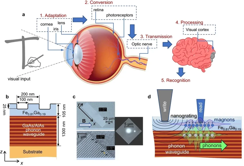 Нейроморфные процессоры: как техника учится думать как человек