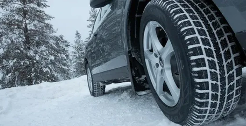 Ореховая скорлупа: неожиданный помощник для чистки и ухода за автомобилем