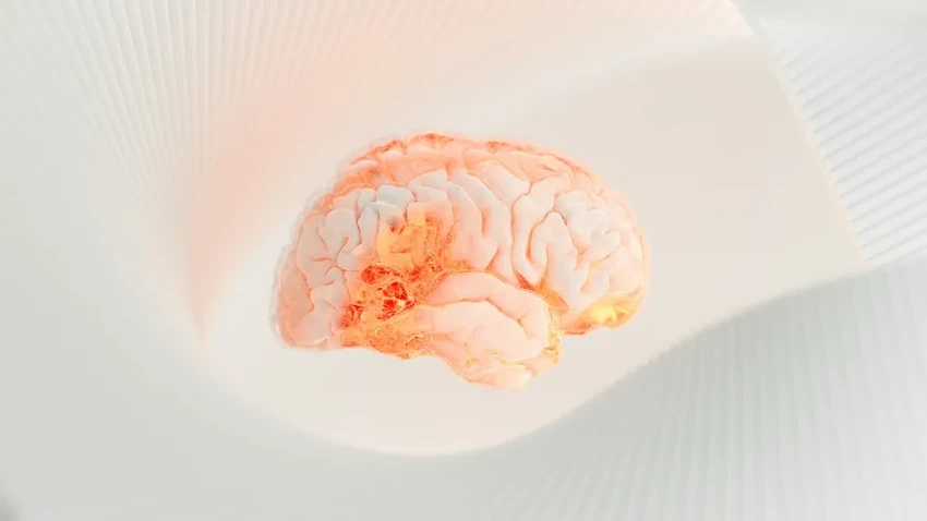 Мозговой имплант впервые вылечил эпилепсию и ОКР одновременно: история пациентки