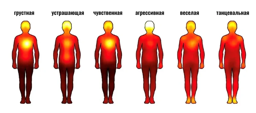 Где в теле мы чувствуем музыку: карта телесных ощущений для разных жанров