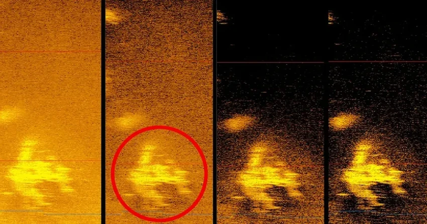 На дне океана нашли самолёт Амелии Эрхарт? Новые данные вековой загадки