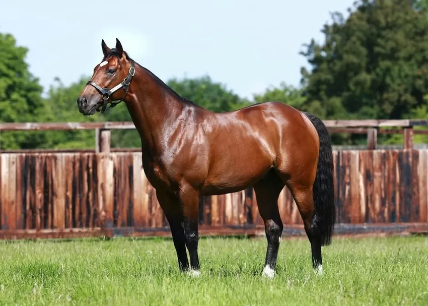 20 самых дорогих предметов в мире: что стоит целое состояние и почему