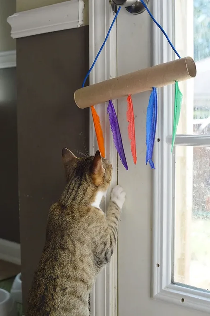 Игрушки для кошек своими руками: 7 простых идей из подручных материалов