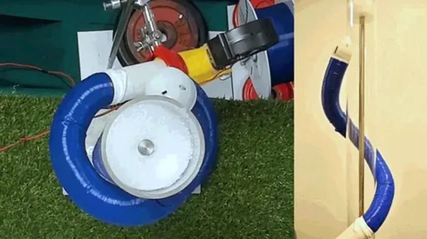 FiloBot: робот, который медленно «растет», как живое растение