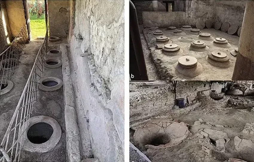 Тайна римского вина: вкус пряностей и жареного хлеба