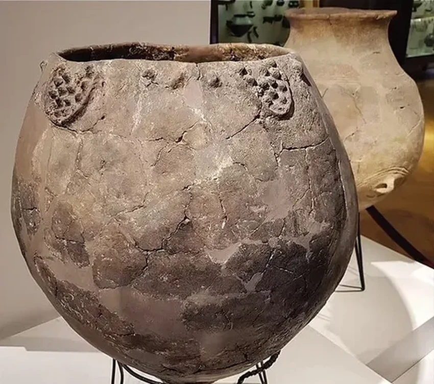 Тайна римского вина: вкус пряностей и жареного хлеба