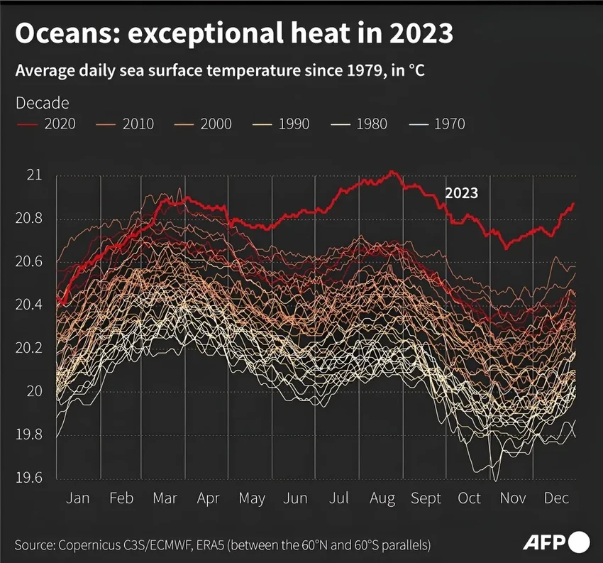 Новый температурный рекорд океана: что означает его перегрев для планеты