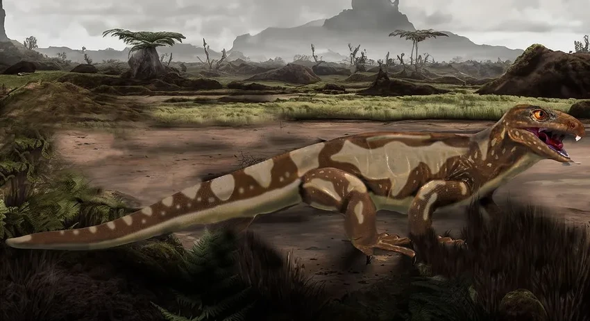 Найдена кожа возрастом 288 млн лет: как выглядел покров древних рептилий?