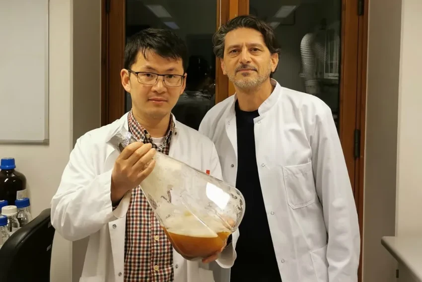 Дрожжи вместо ядовитой лианы: создано новое средство против ожирения