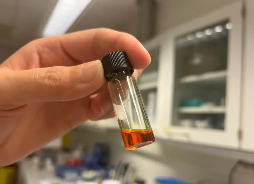 Дрожжи вместо ядовитой лианы: создано новое средство против ожирения