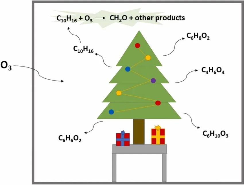 Живая ёлка дома: что выделяет дерево и как это влияет на воздух