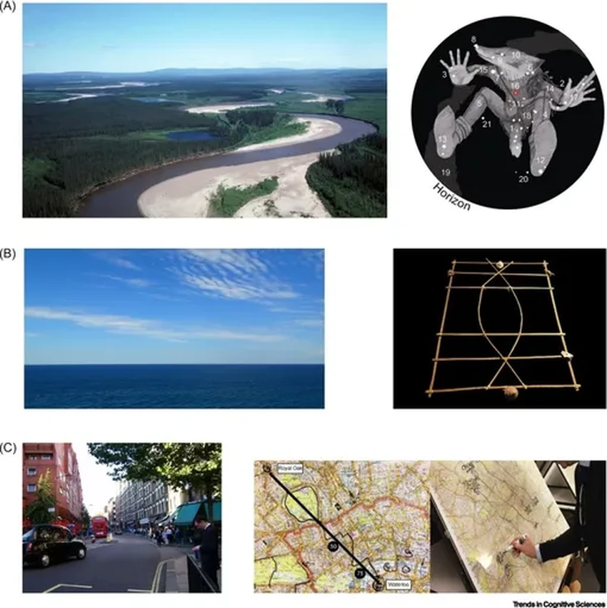 Как древние народы находили путь без карт: звезды, волны и птицы как GPS