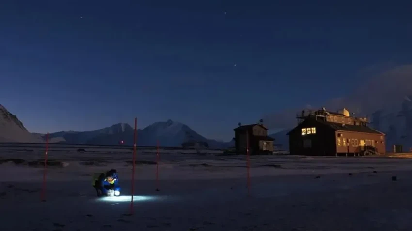 В арктическом снеге нашли следы солнцезащитных кремов: как они туда попали