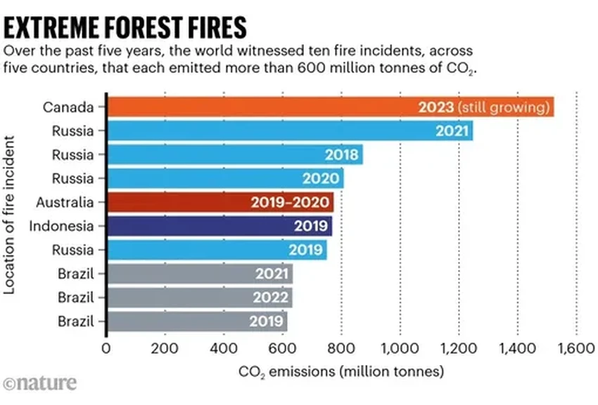Лесные пожары выбрасывают больше CO2, чем вся экономика Японии