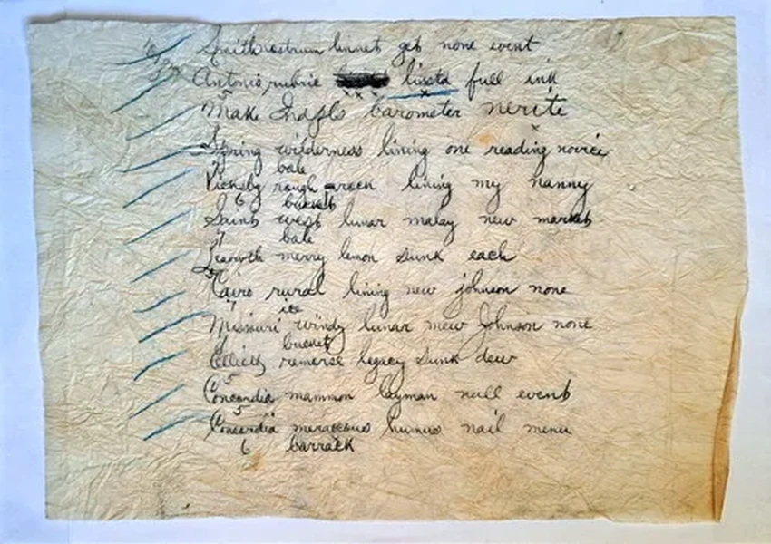 Разгадана вековая тайна: что означало послание в викторианском платье