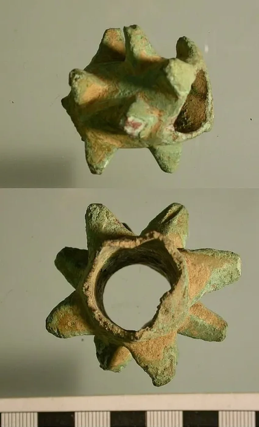 Школьник нашёл на дороге редкую средневековую булаву в Польше