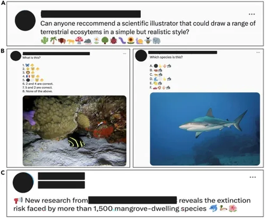 Как эмодзи искажают нашу картину мира: проблема биоразнообразия