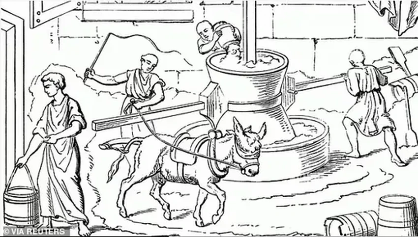 В Помпеях нашли жестокую тюрьму-пекарню, где рабы и животные мололи зерно