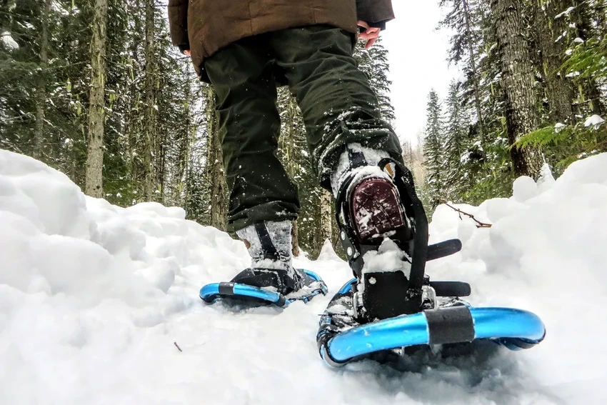 Почему водители едут в метель: главные причины по результатам опроса