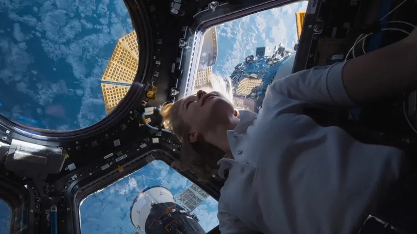 10 фильмов 2023 года, которые стоит посмотреть: от «Оппенгеймера» до «Вызова»