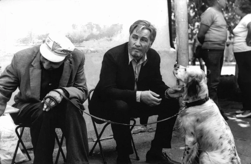 Судьба пса Степки: история актера, который сыграл Бима и не пережил предательства