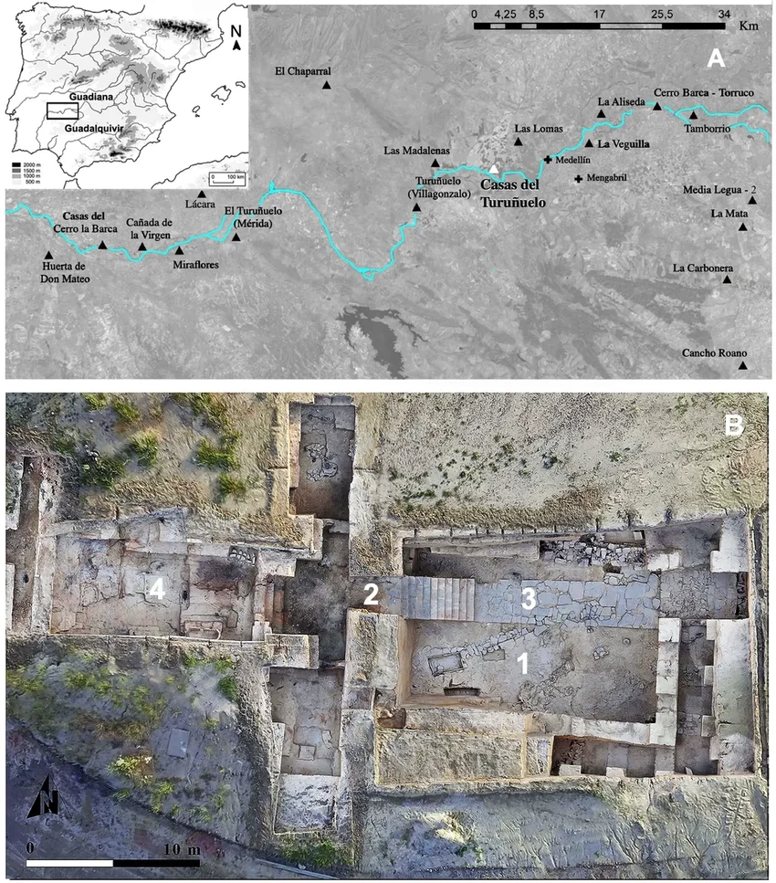 Тайна Касас дель Туруньюэло: зачем древние иберы массово приносили в жертву лошадей