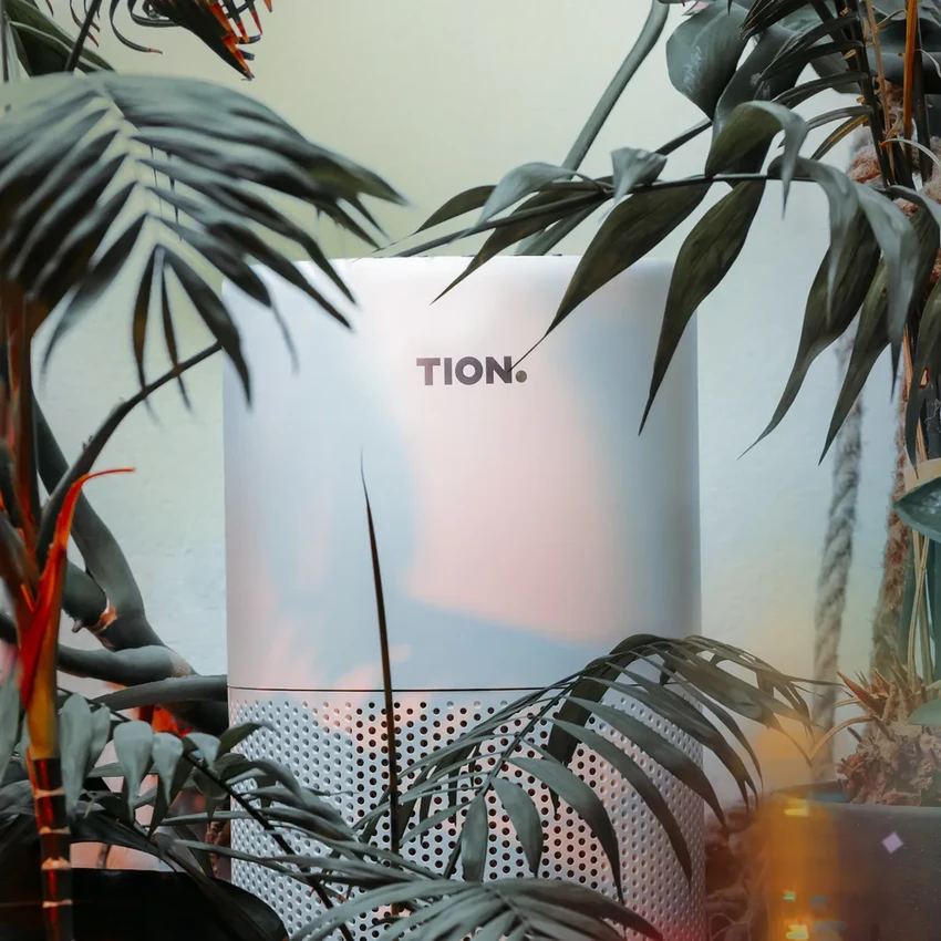 Сухой воздух в квартире: как создать здоровый микроклимат зимой