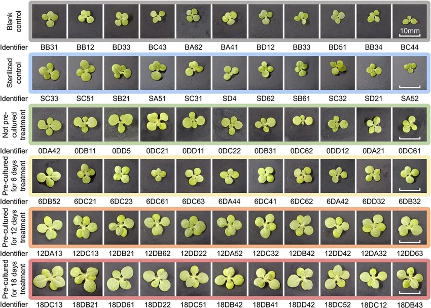 Как бактерии могут превратить лунный грунт в плодородную почву