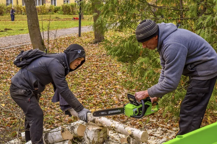 В парке города Дно высадили 2000 кустарников: как преобразилась зона отдыха
