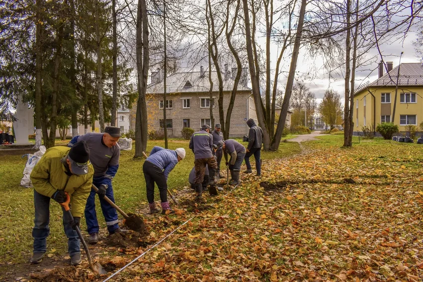 В парке города Дно высадили 2000 кустарников: как преобразилась зона отдыха