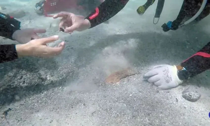 У берегов Сардинии дайверы нашли клад: десятки тысяч древнеримских монет