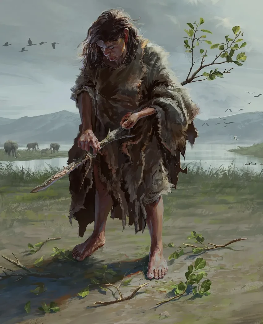 В Греции нашли древнейшие в мире деревянные орудия возрастом 430 000 лет