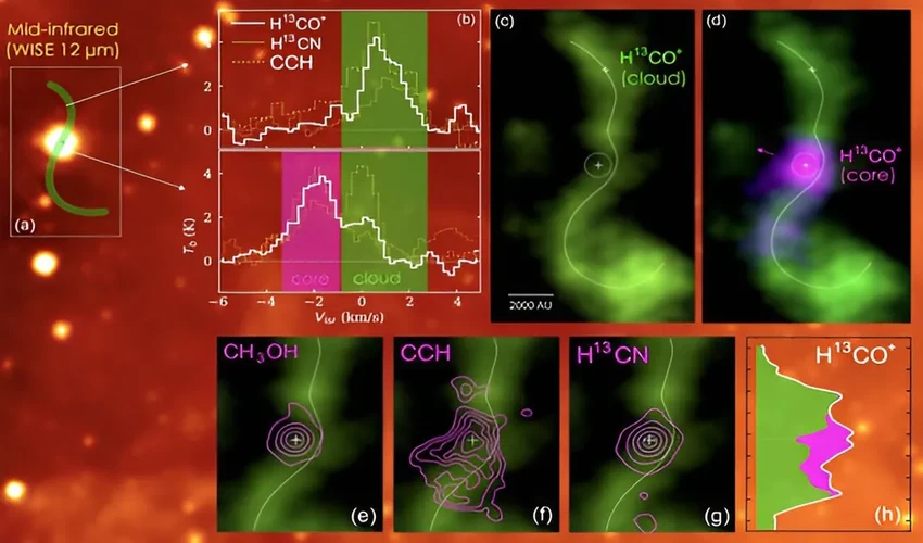 Астрономы увидели, как коллапс облака «выталкивает» новорождённую звезду