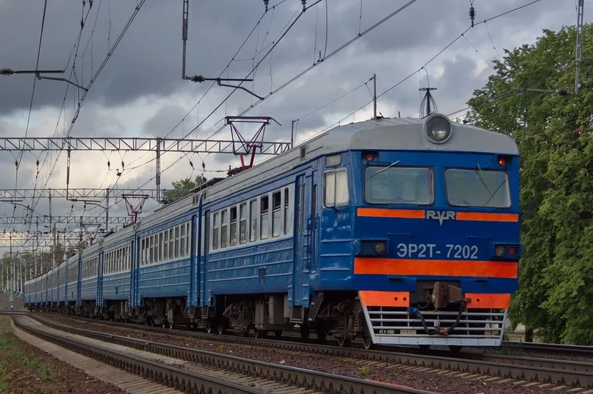 Зачем поездам птичьи имена: почему «Ласточки» и «Сапсаны» мчатся по России