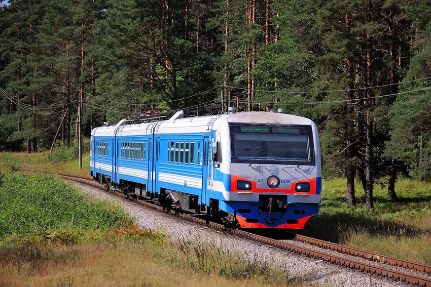 Зачем поездам птичьи имена: почему «Ласточки» и «Сапсаны» мчатся по России