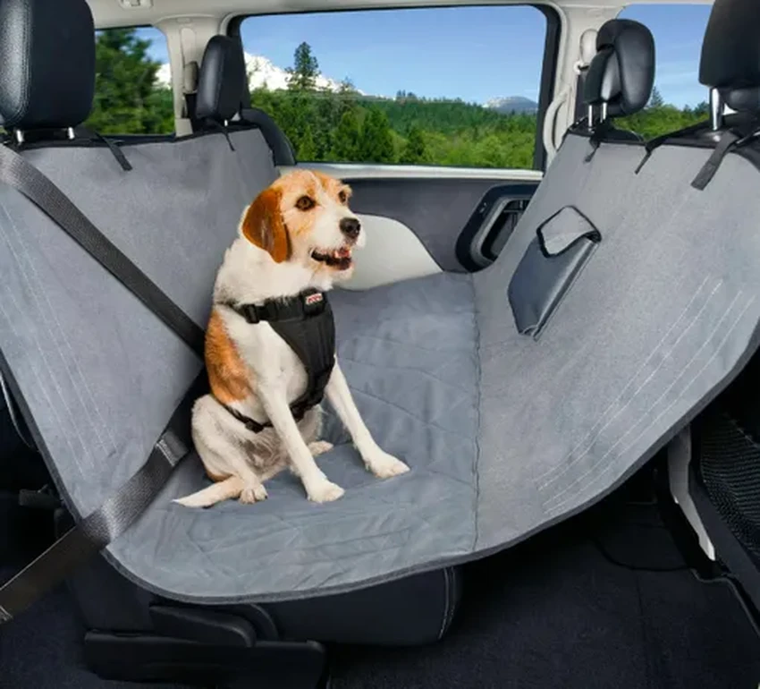 Путешествие с питомцем: как подготовить машину для безопасной и комфортной поездки