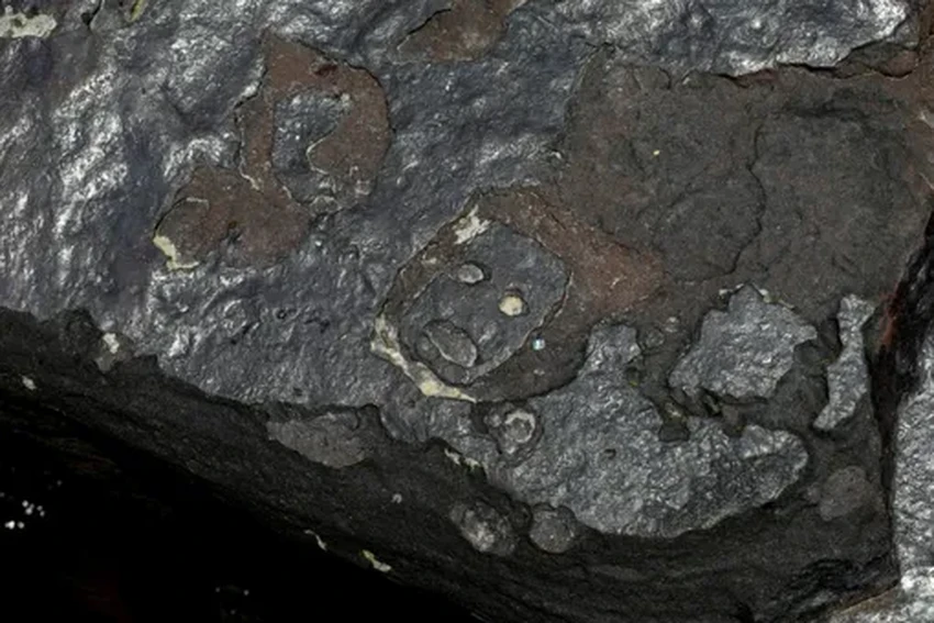 Засуха в Амазонии обнажила древние каменные рисунки возрастом 2000 лет