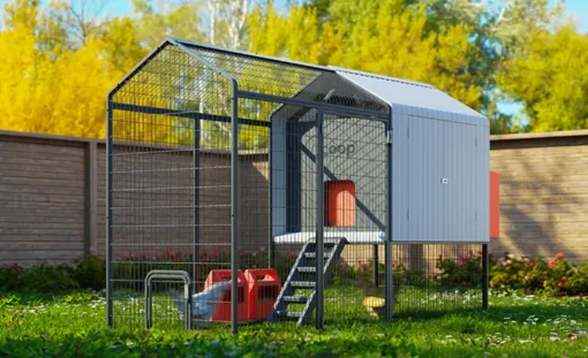 «Умный» курятник с Альбертом Эггштейном понимает, о чём кудахчут ваши куры