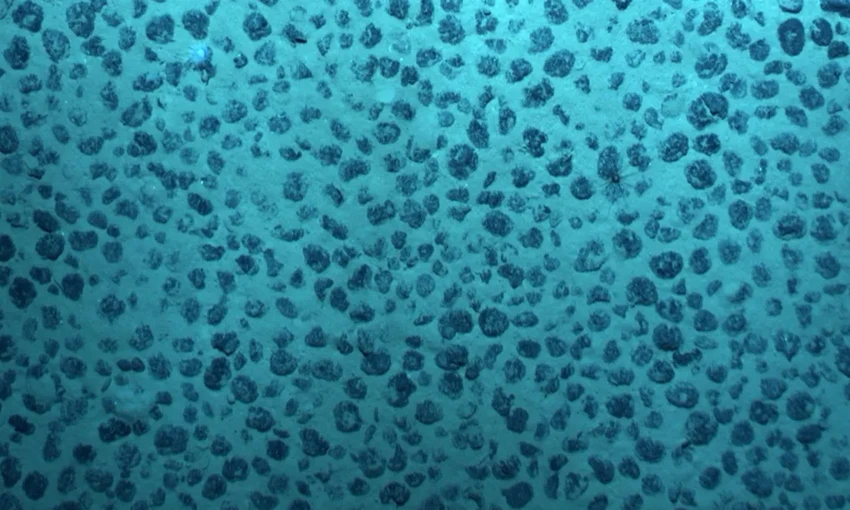 Тайна «темного кислорода»: что роботы ищут на глубине 4 километров