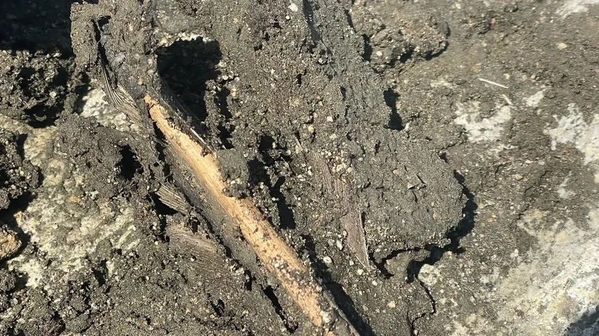 Ледники Норвегии открыли 3000-летнюю тайну: найдена идеально сохранившаяся стрела