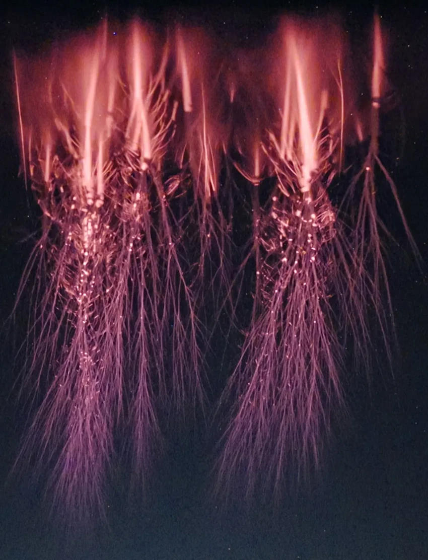 NASA будет исследовать НЛО: учёные создают приложение для сбора свидетельств