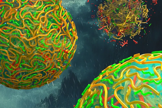 Дождь как ключ к жизни: как пресная вода создала первые клетки